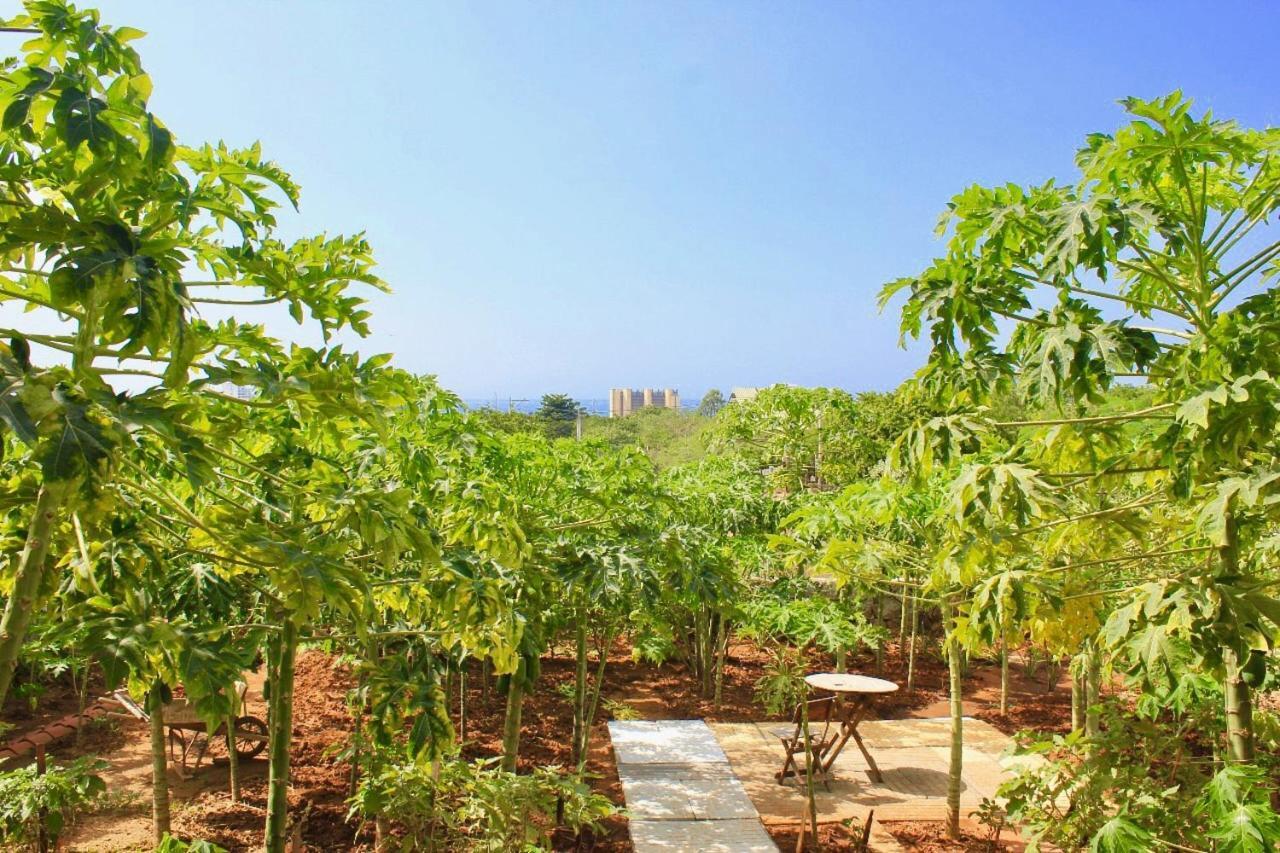 Casa Mediterranea 3* Santa Marta (Magdalena)